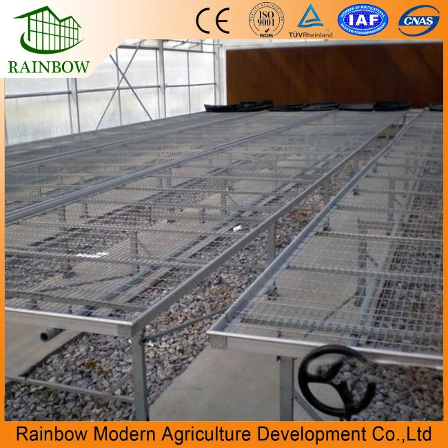 Agricultural Greenhouse Ebb and Flow Rolling Seedbed