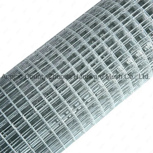 Hot Dipped Galvanized After Welding 1/4 Mesh Chicken Rabbit Pigeon Wire Mesh