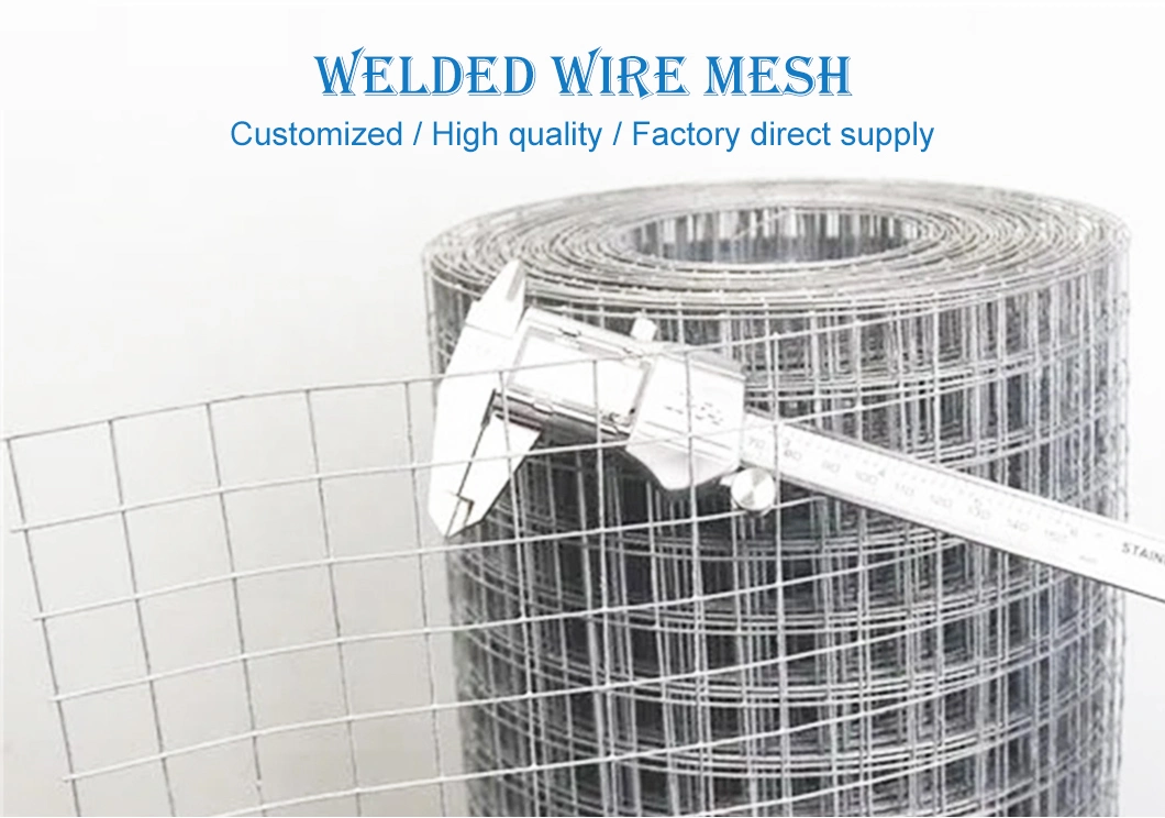 Factory Price Hot Sales High Quality Galvanized 2 X 2 Welded Wire Mesh Galvanized Welded Wire Mesh for Construction