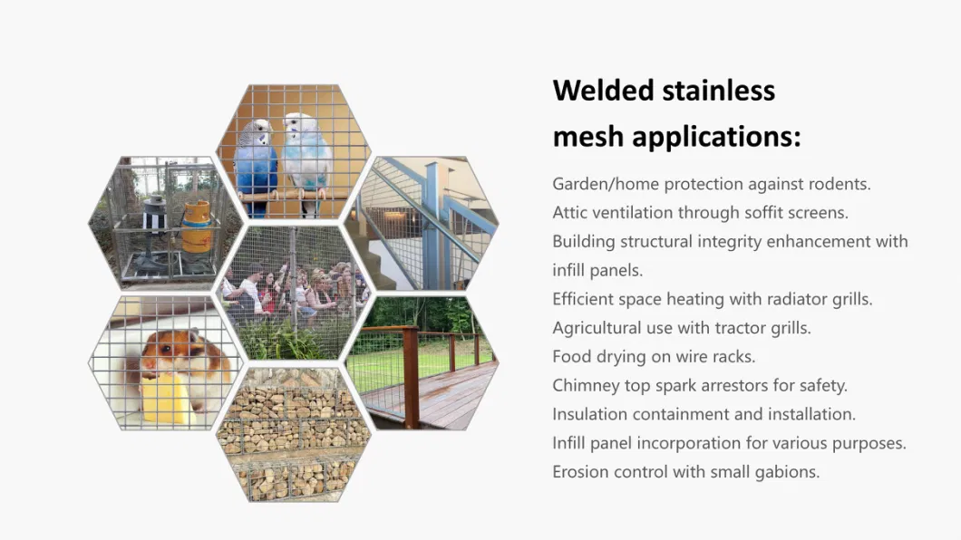 Stainless Steel, Hot DIP Galvanized L, Electro Galvanized, PVC Coated Welded Wire Mesh Panels Rolls for Garden Agriculture Poultry Animal Rabbit Cage