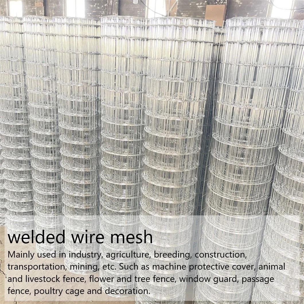 Inch 10 Gauge Galvanized 6X6 Reinforcing Welded Wire Mesh