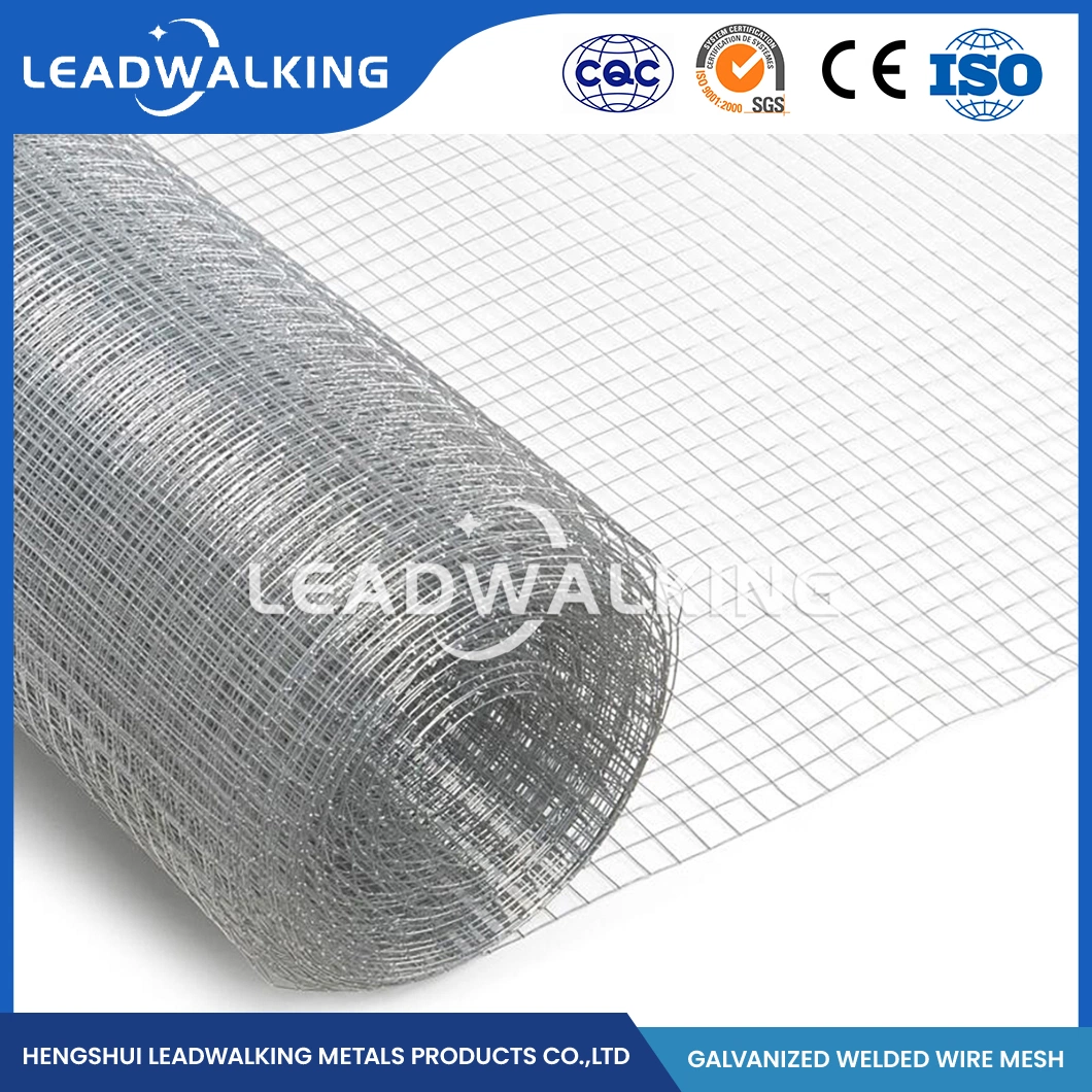 Leadwalking Galvanized Welded Mesh Rolls Factory Sample Available Welding Net China 0.5-3.0mm Wire Thickness Best Price Galvanized Welded Wire Mesh