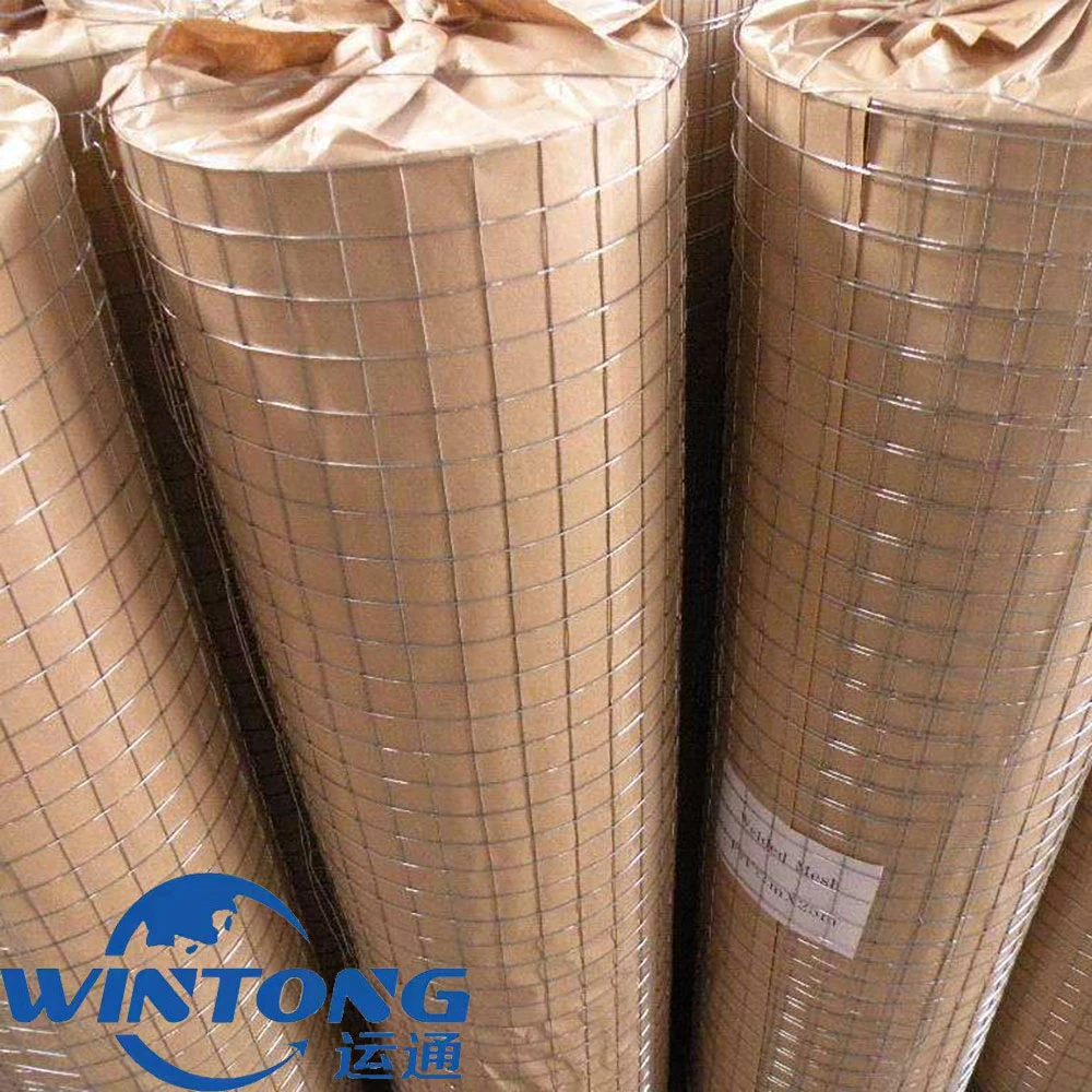 Low Carbon Steel Wire Galvanized Welded Mesh, External Wall Insulation Electric Welding Mesh