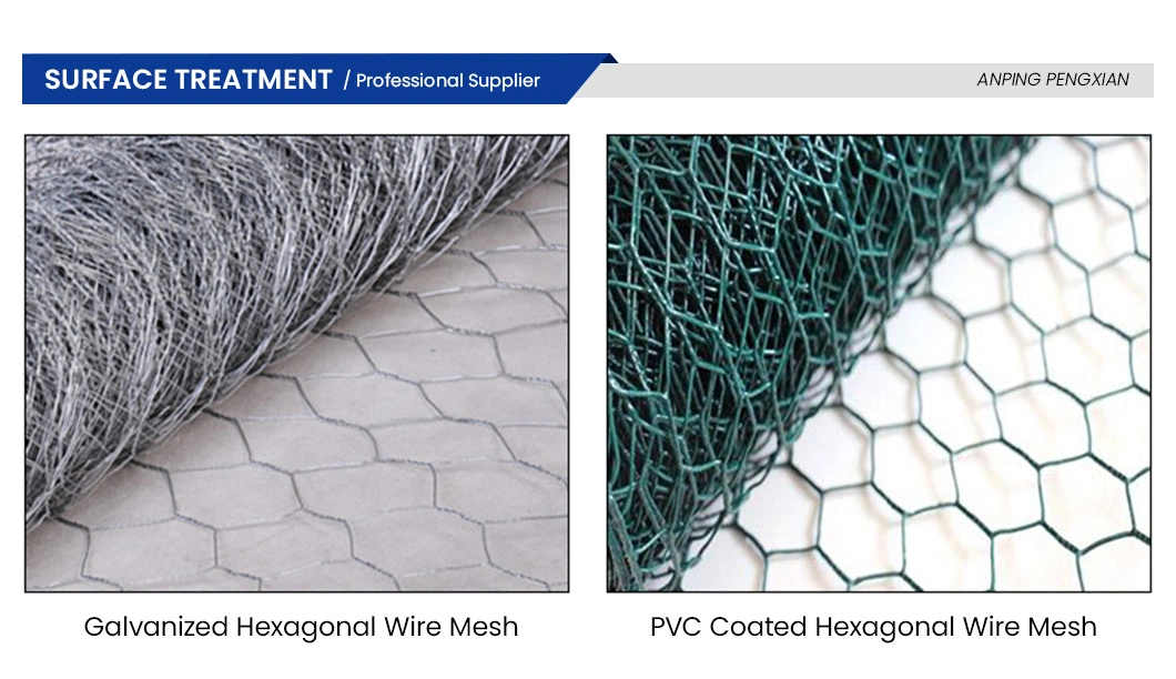 Pengxian 19 Gauge Chicken Wire China Wholesalers 2-1/2 Inch 65mm Square Chicken Wire Mesh Used for Heavy Duty Mesh Fencing