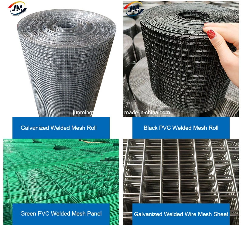 Stainless Steel PVC Coated Hot Dipped/DIP Galvanized Welded Wire Mesh for Garden Agriculture Poultry Animal Rabbit Cage Reinforcement Concrete Construction