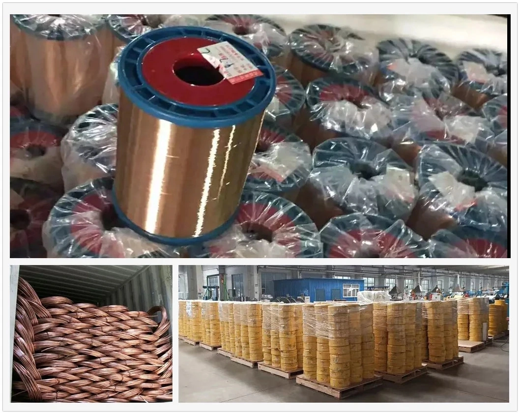 0.8mm 1.0mm 1.2mm 1.6mm Plastic Metal Spool Gas Protection Copper Coated MIG CO2 Er70s-6 Welding Wire Price