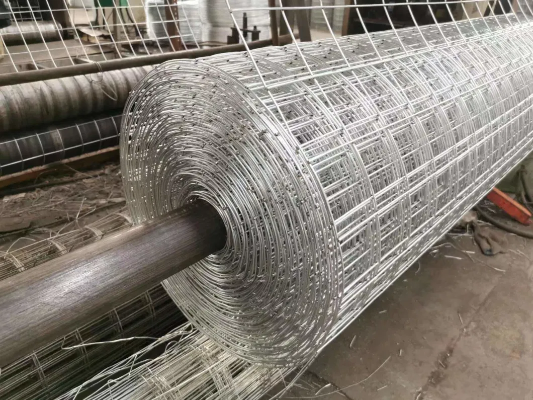 Stainless Steel, Hot DIP Galvanized L, Electro Galvanized, PVC Coated Welded Wire Mesh Panels Rolls for Garden Agriculture Poultry Animal Rabbit Cage