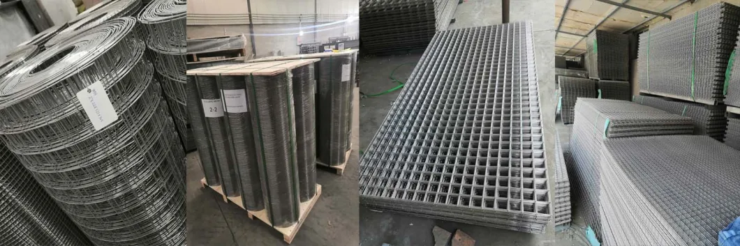 Galvanized/SUS304/SUS316 Stainless Steel Welded Wire Mesh for Wire Mesh Basket