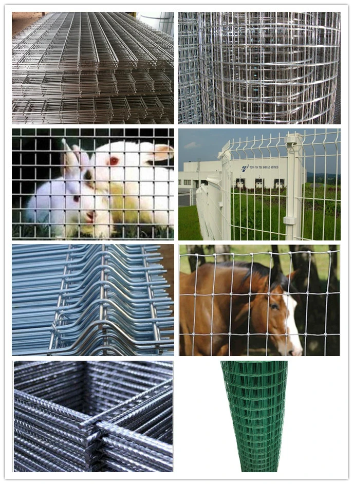 2 X 2 Inch Mesh Square Hole Welded Wire Mesh High Quanlity