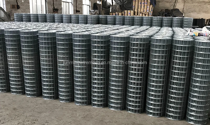 Stainless Steel PVC Coated Hot Dipped/DIP Galvanized Welded Wire Mesh for Garden Agriculture Poultry Animal Rabbit Cage Reinforcement Concrete Construction