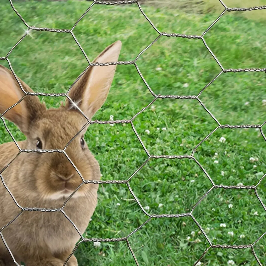 Pengxian 1 2 Inch Mesh Chicken Wire China Manufacturers 5/8 Inch 16mm Metal Hex Mesh Used for Wire Mesh Rabbit Fencing