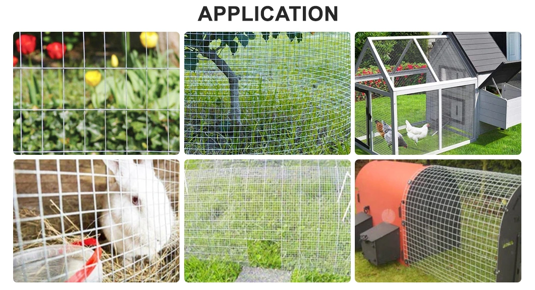 Wholesale Cheap 1/4 Inch Welded Rabbit Cage Wire Mesh Price for Cage