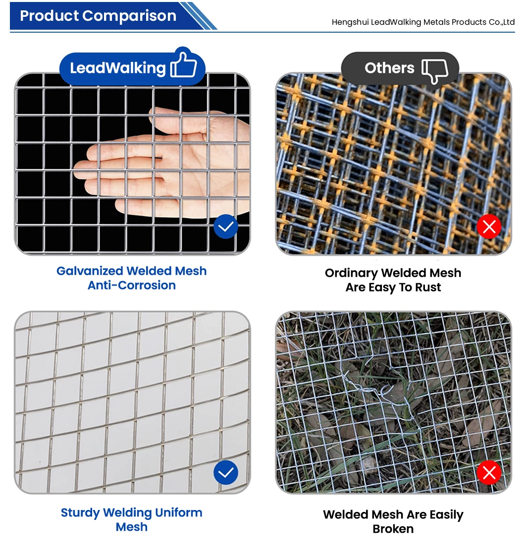 Leadwalking Galvanized Welded Mesh Rolls Factory Sample Available Welding Net China 0.5-3.0mm Wire Thickness Best Price Galvanized Welded Wire Mesh