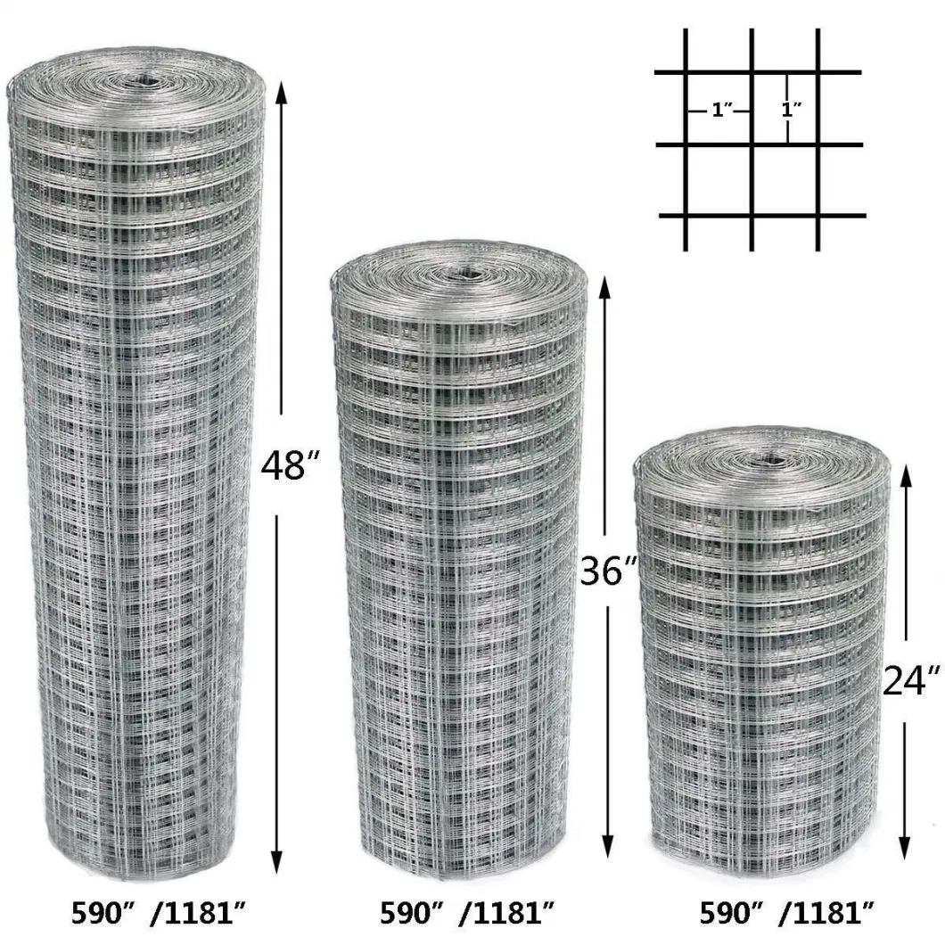 1/4 Hardware Cloth 36inch X 50foot 23 Gauge Hot DIP Galvanized After Welding Chicken Wire Mesh Roll Galvanized Wire Mesh