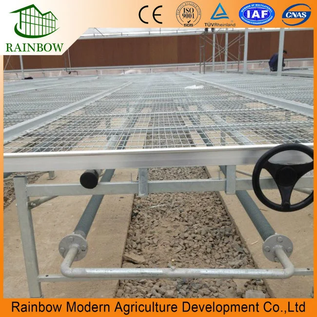 Agricultural Greenhouse Ebb and Flow Rolling Seedbed