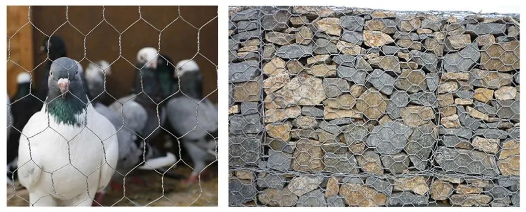 Galvanized Welded Wire Mesh /Stainless Steel/PVC Coated Hexagonal Wire Mesh