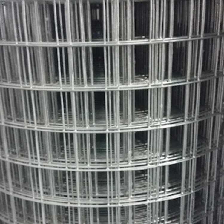 Factory Direct Sell 11 Gauge Galvanized Welded Wire Mesh/ Non Galvanized Welded Wire Mesh Fencing/ 8 Gauge Galvanized 2 X 2 Welded Wire Mesh