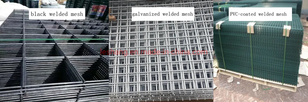 Galvanized /PVC-Coated /Stainless Steel Welded Wire Mesh for Fencing