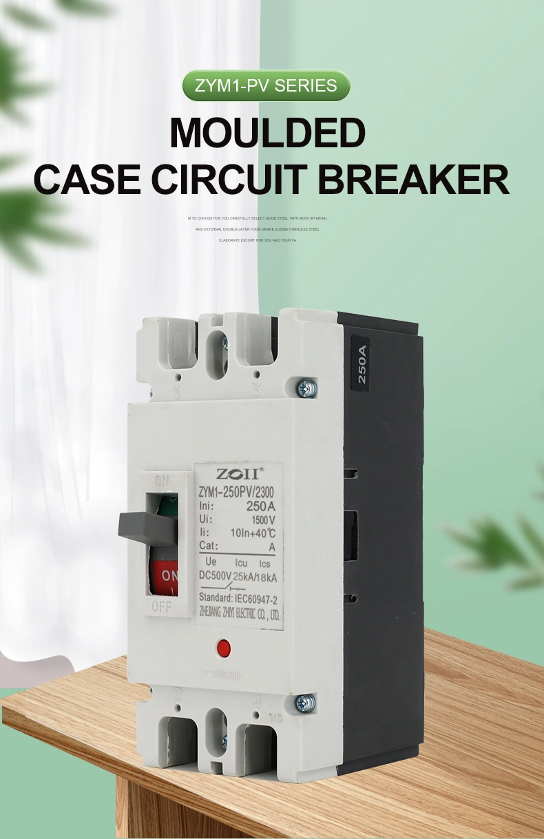 Zoii Hight Quality 100A 125A 140A 160A 180A 225A 400A 630A DC Moulded Case Circuit Breaker MCCB