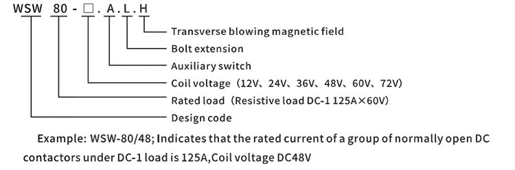 Hot Sell Magnetic Latching and Electrical Car 24V 48V 125A Wsw80 DC Contactor