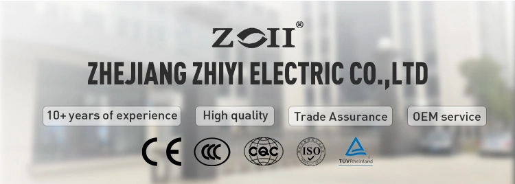 Zoii Hight Quality 100A 125A 140A 160A 180A 225A 400A 630A DC Moulded Case Circuit Breaker MCCB