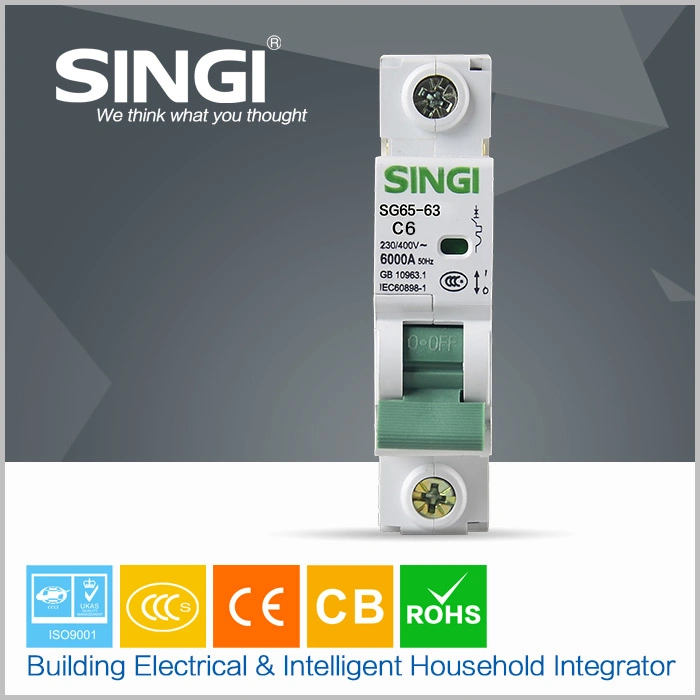 Circuit Breaker Singi Standar Export Carton 6ka Zhejiang China MCCB with CE