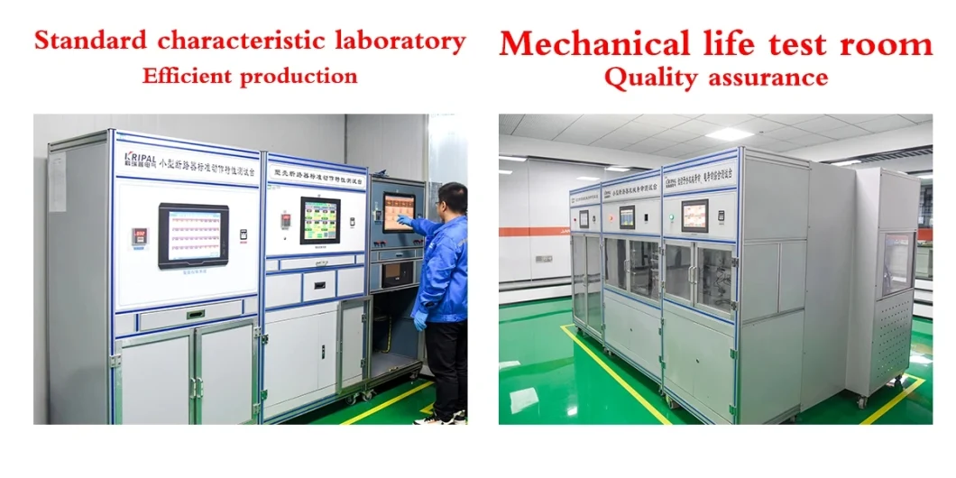 China Manufacturer of 250A MCCB