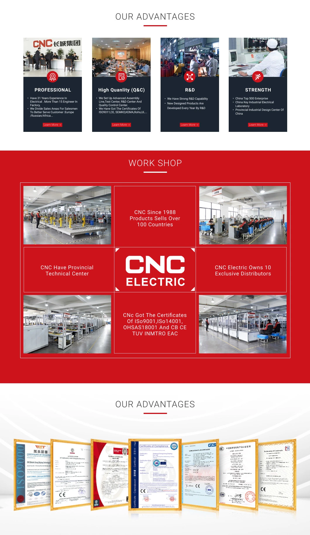 CNC Ycb9rl-100 2p Series Micro Circuit Breaker