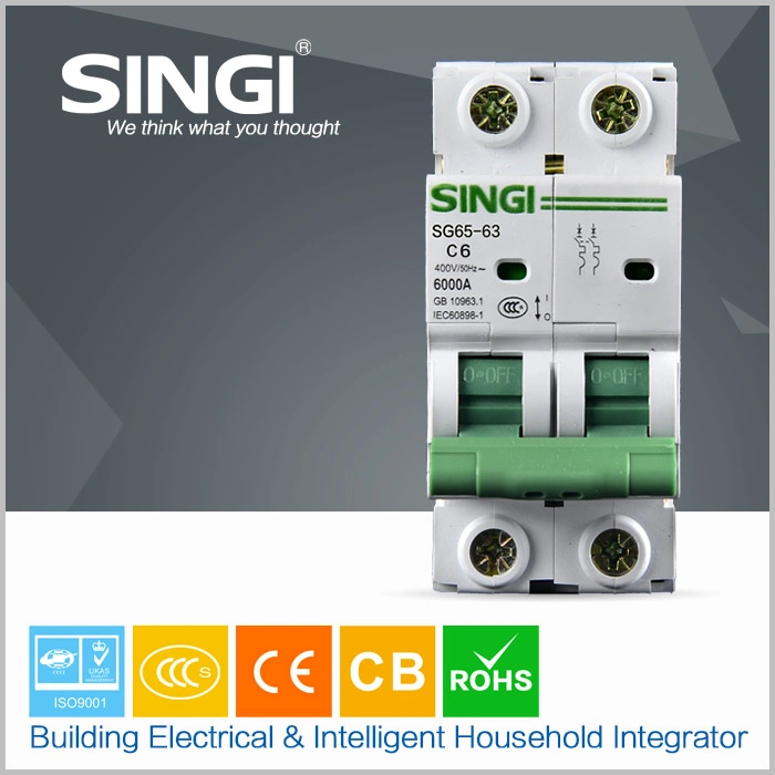 Circuit Breaker Singi Standar Export Carton 6ka Zhejiang China MCCB with CE