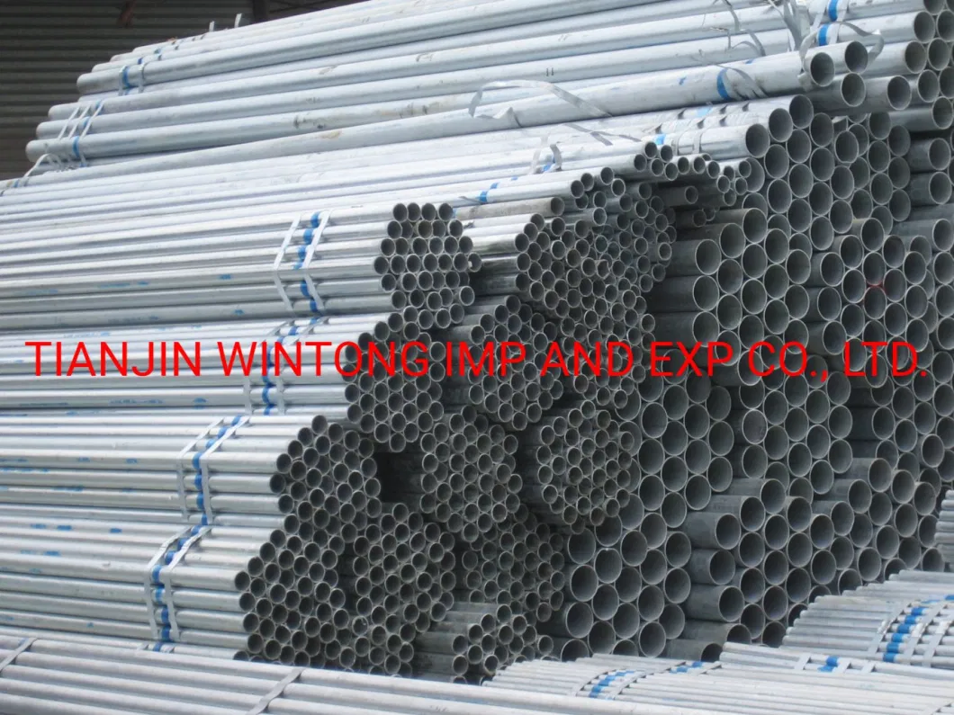 Pre Galvanized Square Steel Pipe/ Galvanised Fence Tube