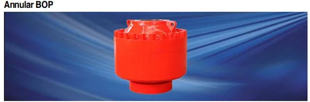 API 6A High Quality 13 3/8 Inch 2000 Psi Triple-Layer Casing Head for Oil Drilling