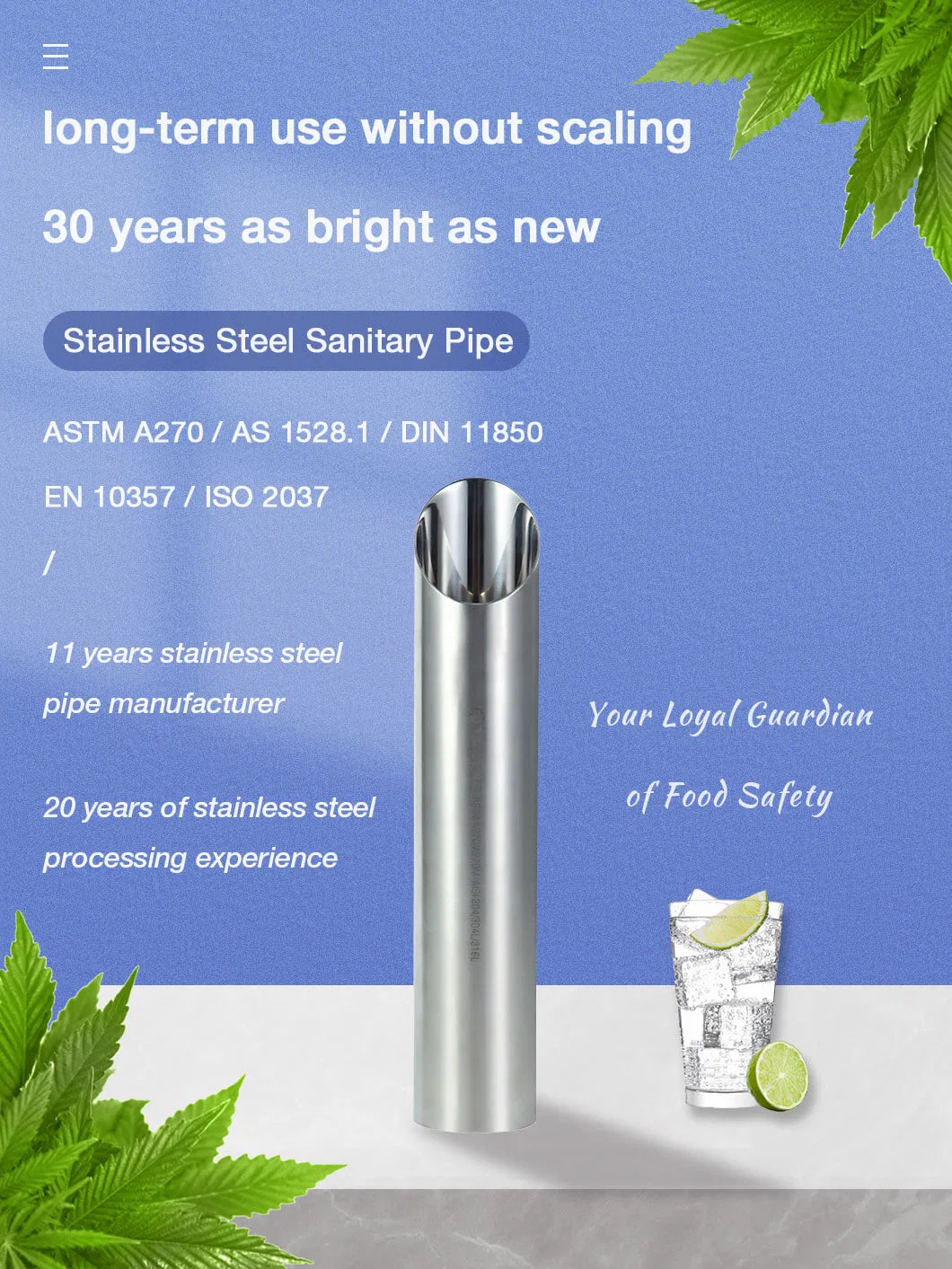 25mm 32mm 50mm Diameter Stainless Steel Pipe with Inside Polish