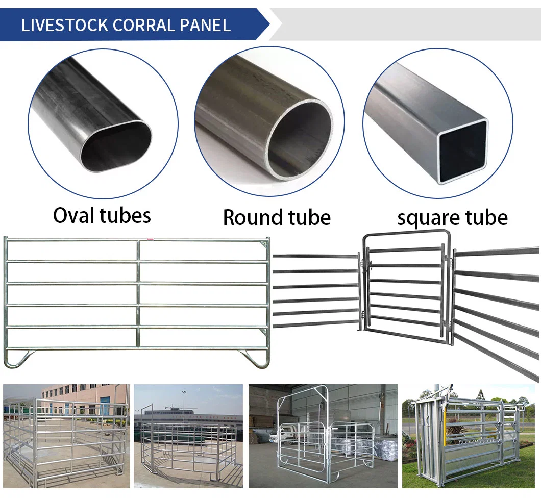 Hot Dipped Galvanized Steel Tubing Round Yard Cattle Field Fence for Livestock