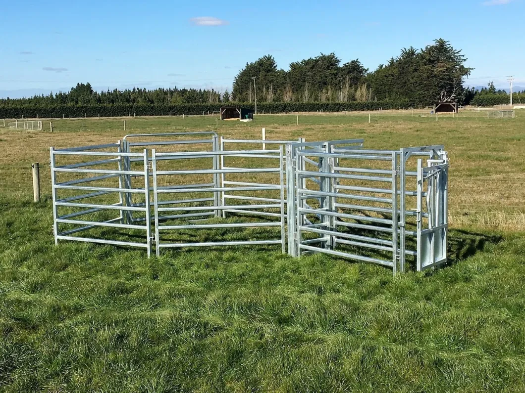 8.6m Horse Panel and Gates Round Pen Horse Yards Panels Stockyard Systems Horse Yards