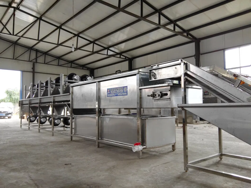 Customized Full Automatic Roasting Making Machine Line