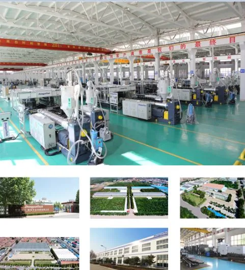 Zhongyuntech Model Zc-1000h PP Plastic Double Wall Square/Rectangular/Special-Shaped Corrugated Pipe Making Machine/Extrusion Line