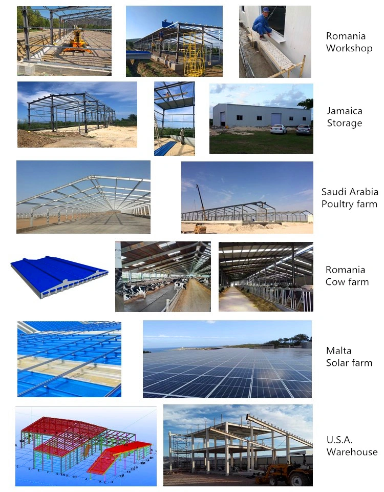 Steel Structure Q235 Q355 Galvanized H Section Shed Storage Metal Construction for Prefab Warehouse Workshop