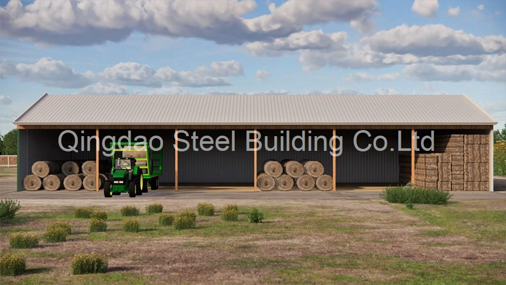 Prefabricated Steeel Structure Industrial Building Farm Storage Shed Warehouse Construction Building CE