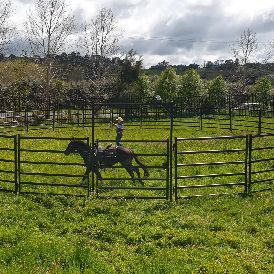 8.6m Horse Panel and Gates Round Pen Horse Yards Panels Stockyard Systems Horse Yards