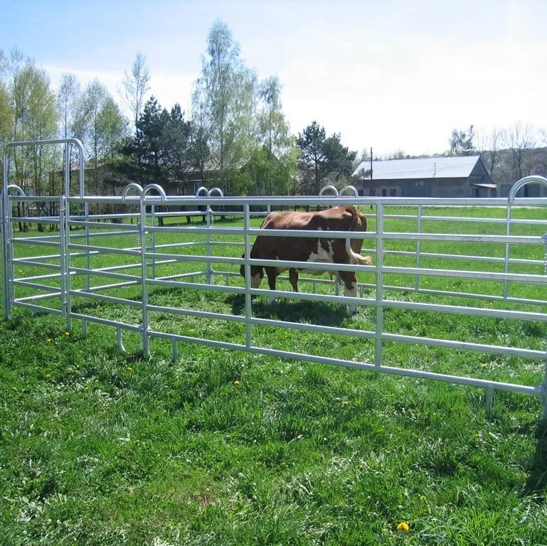 Pengxian 10FT Galvanised Pipe Farm Gate China Factory High Security Farm Gates 50 X 50 mm Square Rails Outdoor Metal Fences