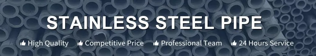 Metal Building Material Astma213 TP304 321 310S 904L 2205 2507 Seamless Stainless Steel Pipe with Prime Quality