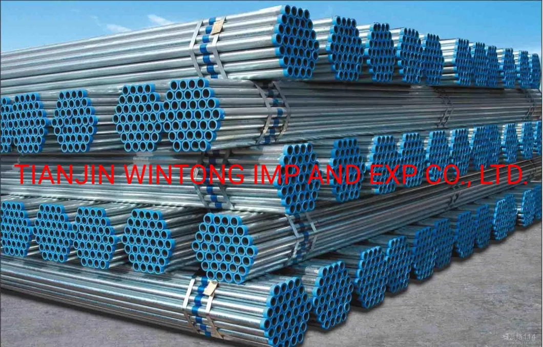 Pre Galvanized Square Steel Pipe/ Galvanised Fence Tube