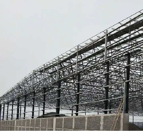 Light Weight Multifunctional Prefabicated Steel Frame Building for Production, Storage, Office Use