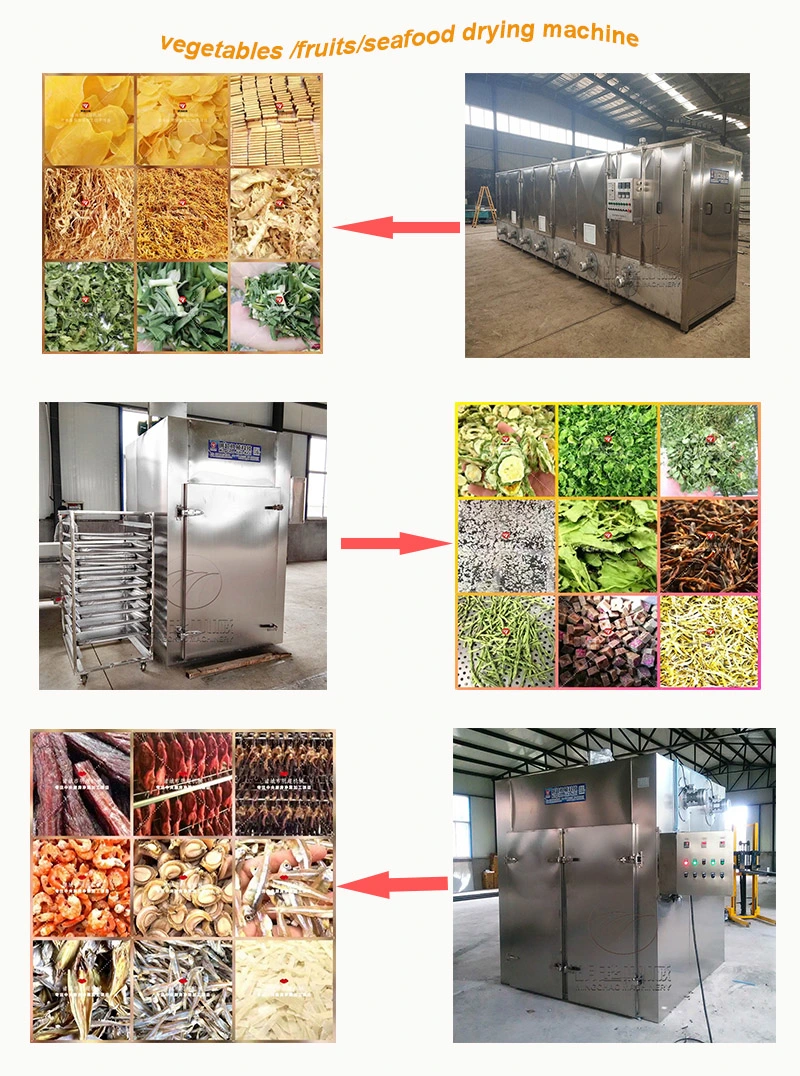 Carrot Slices Drying Equipment Electric Heating Food and Vegetable Drying Line Price