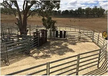 Farm Animal Used Corral Panels Square Pipe Railing Design Livestock Metal Security Fencing Horse Grassland Guardrail Horse Stable Cattle Field Fence