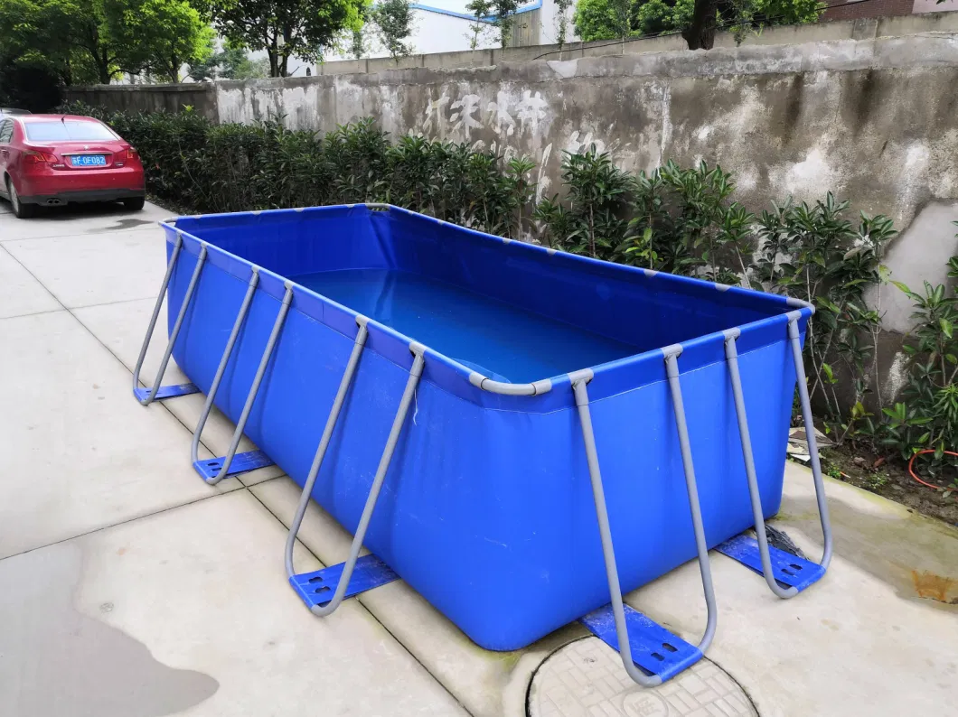 Dfaspo Above Ground Garden Outdoor Inflatable PVC Swimming Pool