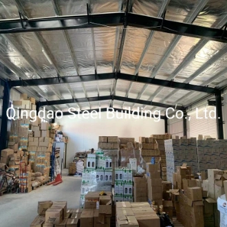 China Prefabricated Steel Structure Buildings Steel Construction Warehouse Building Hangar Building