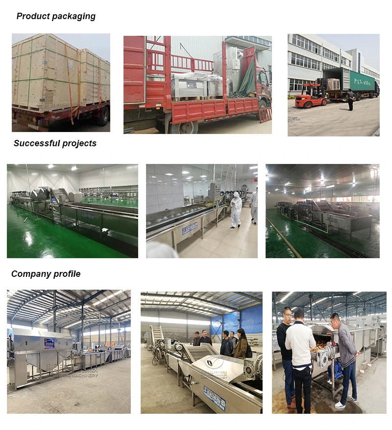 Carrot Slices Drying Equipment Electric Heating Food and Vegetable Drying Line Price