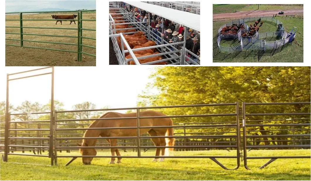 Farm Animal Used Corral Panels Square Pipe Railing Design Livestock Metal Security Fencing Horse Grassland Guardrail Horse Stable Cattle Field Fence