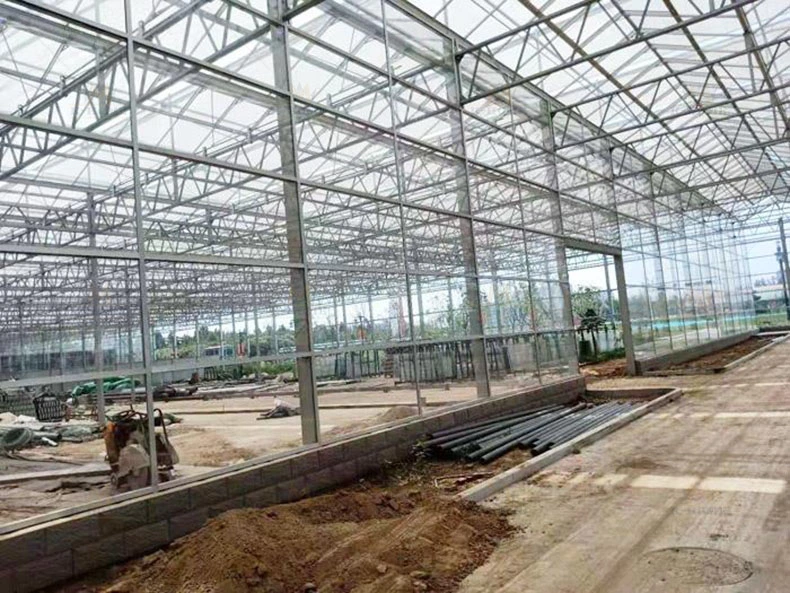 High Light Transmission PC Board Greenhouse Frame Steel Structure